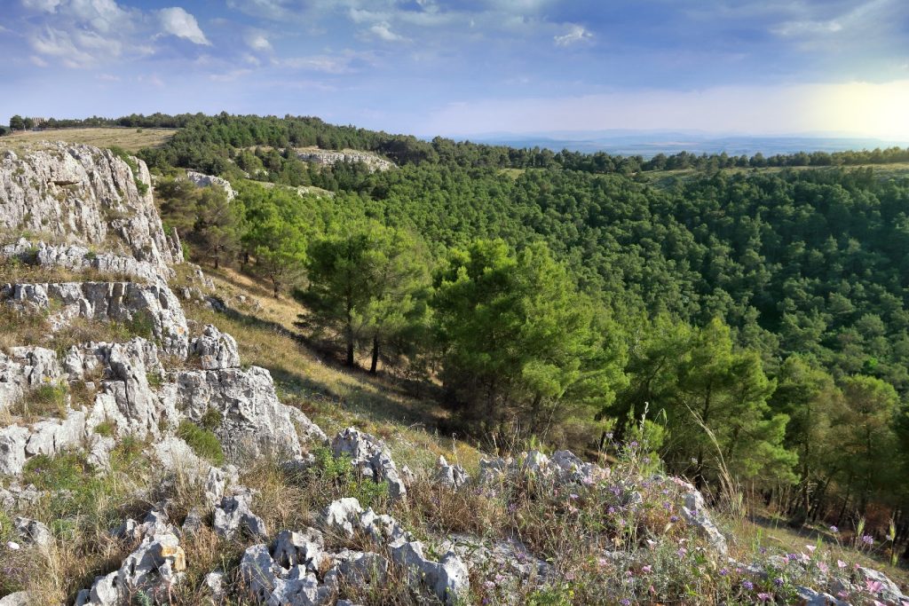 Alta Murgia National Park